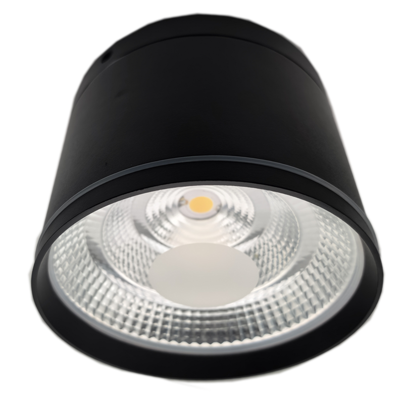30W IP65 Water-proof High Lighting Efficacy Surface Mounted Downlight